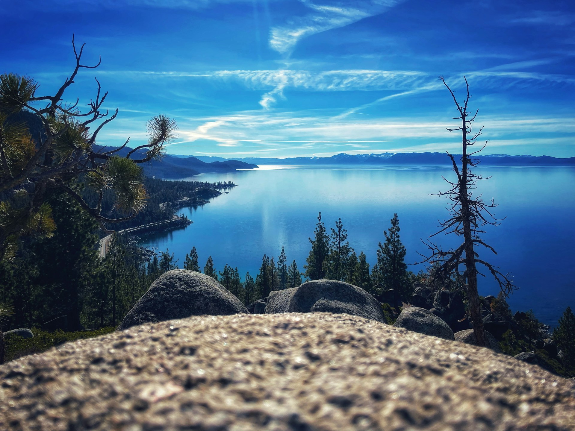 marci-brodock-glEalOnG8rw-unsplash